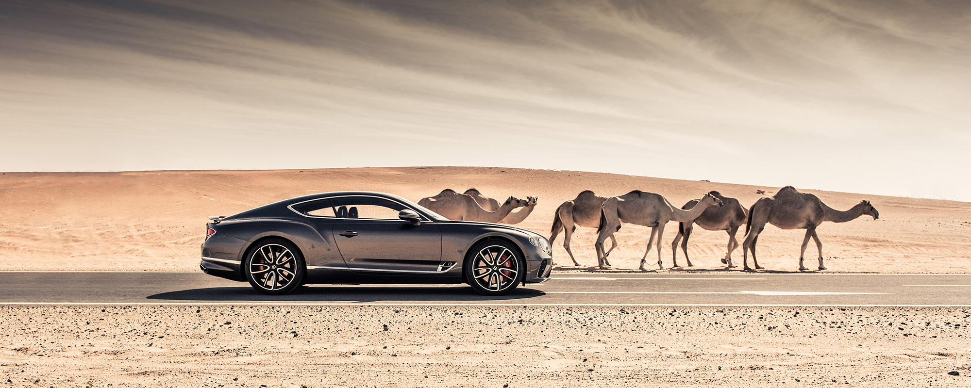 2019 Bentley Continental GT Coupé Wüste Desert Sand