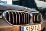 2021 BMW 545e xDrive Nieren