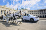 firefly Hofburg Wien
